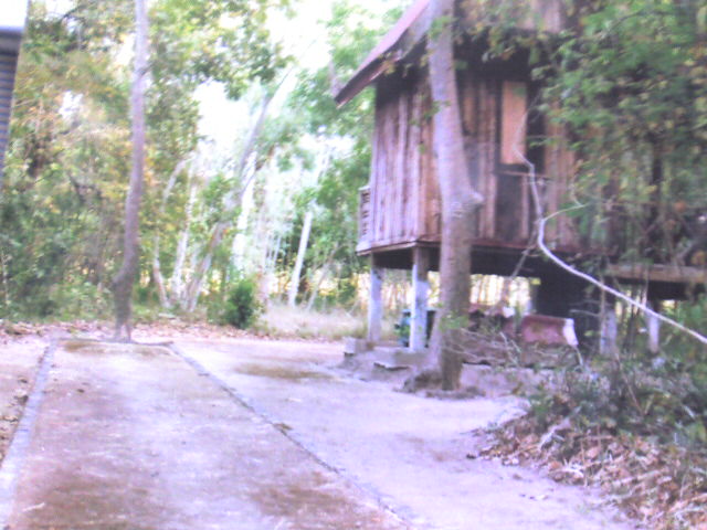 Ҿ0014.jpg