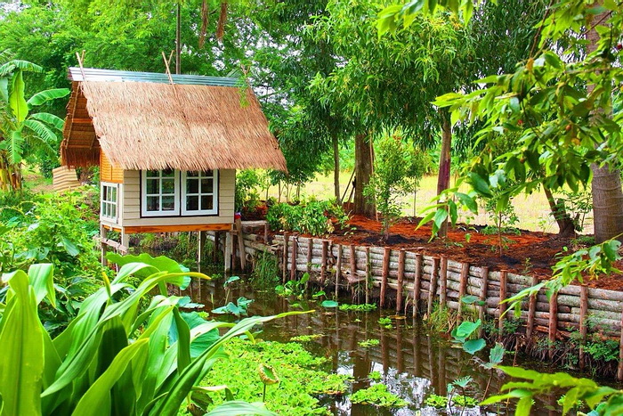 รูปภาพ