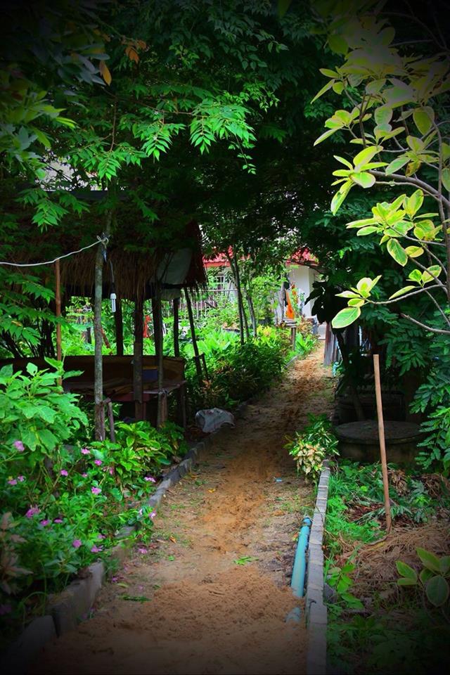 รูปภาพ