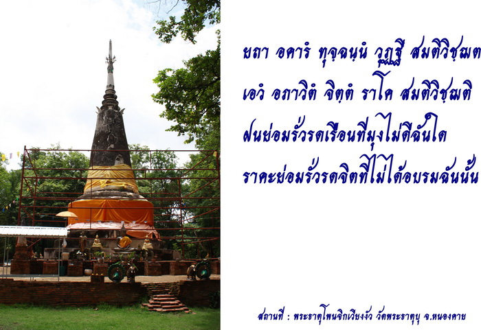 รูปภาพ