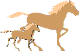 8629_0.gif