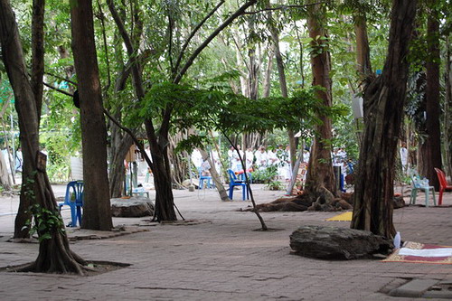 Image Image