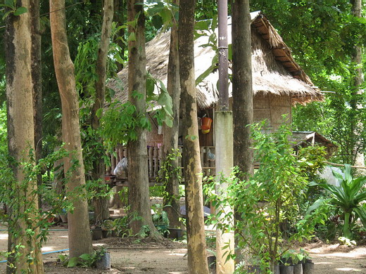 รูปภาพ