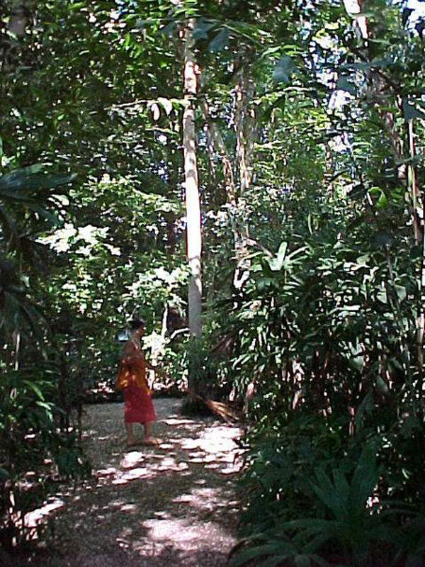 b20021114233522.jpg