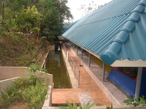 IMGP2227.JPG