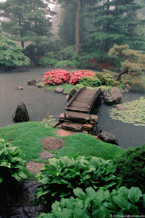 japanese-garden-rain.jpg
