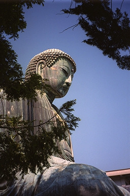 kamakura_daibutsu_foliage.jpg