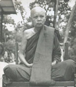 lp-phang-01.jpeg
