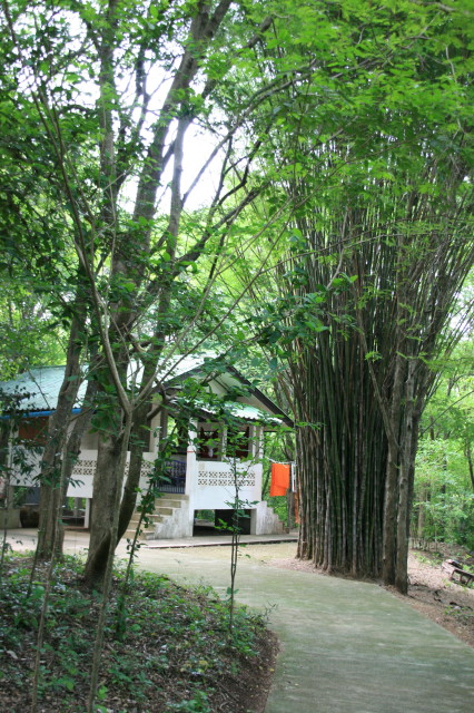 LP_Ta_20070531_036.jpg
