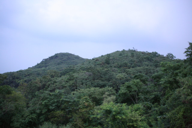 LP_Ta_20070531_129.jpg