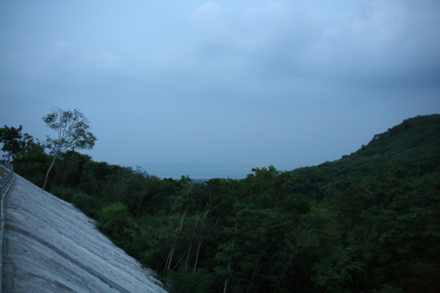 LP_Ta_20070531_130.jpg