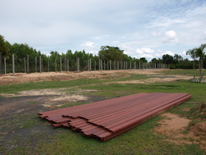 R2903-1.jpg