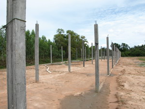 R2915-10maincolumns.jpg