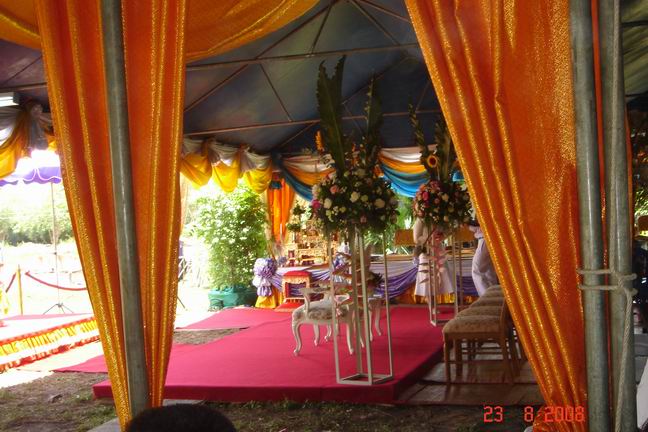 Resize of DSC08924.JPG