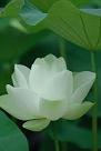 ภาพประจำตัวสมาชิก