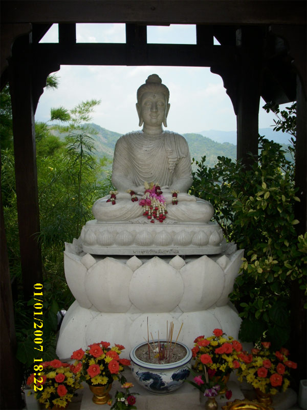 DSCI0269.jpg