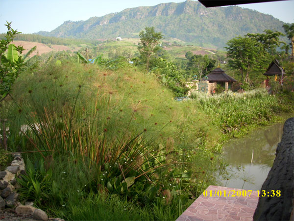 DSCI0252.jpg
