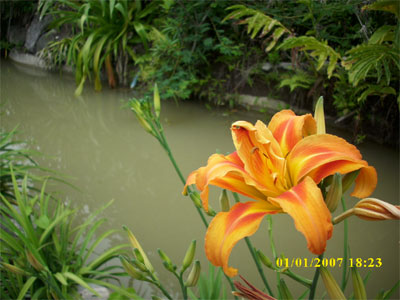 DSCI0270.jpg