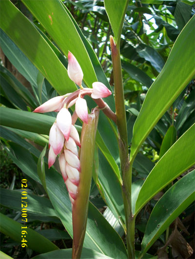 DSCI0277.jpg