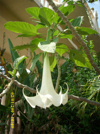 DSCI0280.jpg