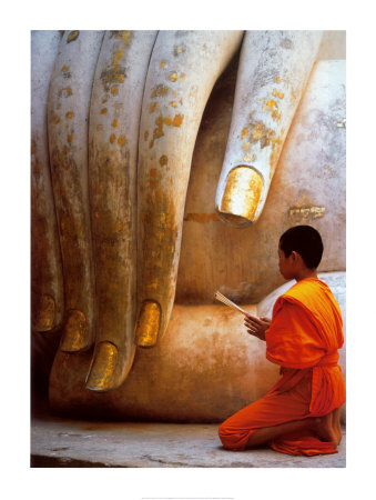 8398~The-Hand-of-Buddha-Posters.jpg