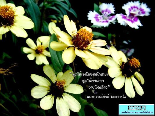 y1pllVwT87UwV6edKbxEt6rsvpL-fNUZVwLUfqgxFVC3X1G4sos4Mfhy2XOH7maq9OOU6hEX0_pt1I.jpg