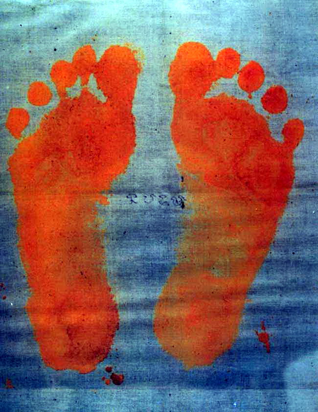 footprint.jpg