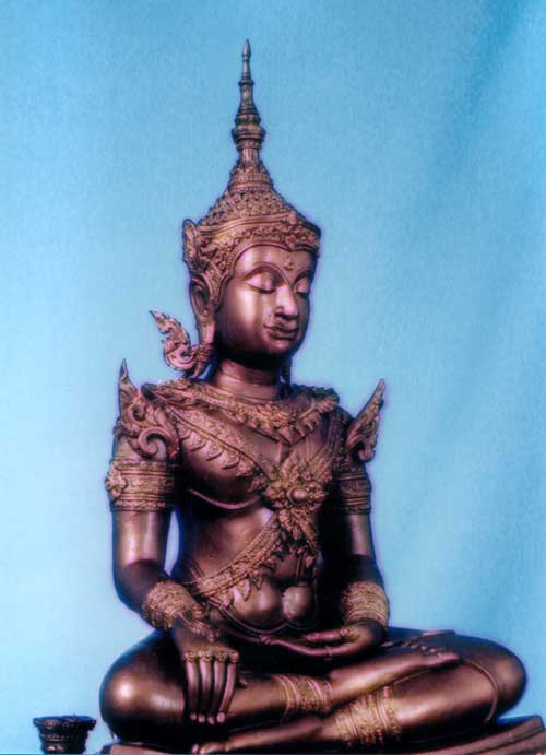 Y7478868-22.jpg