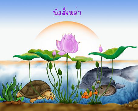 four_lotus 1.JPG