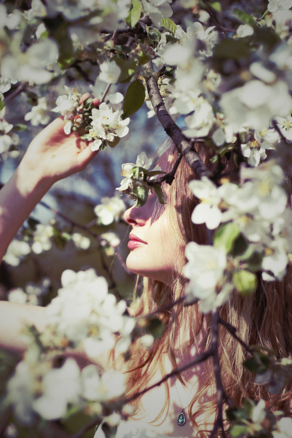 _Secret_Garden__by_Psychosomaticc.jpg