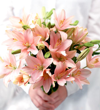 flower4.jpg
