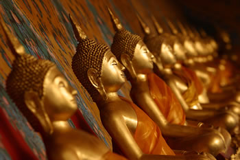 many-buddhas.jpg