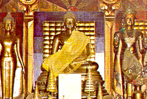 pic23.jpg