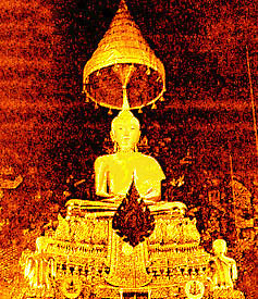 pic13.jpg