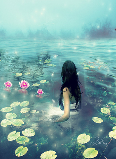 Water_lillies_by_BellalleB.jpg
