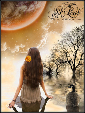 To_The_Moon_And_Back_by_skyleaf.jpg