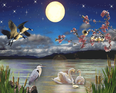 2082827agg4h1mf4m.gif