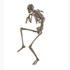 25065.gif