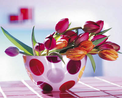 @ARE172~Pink-Orchid-Posters-04.jpg
