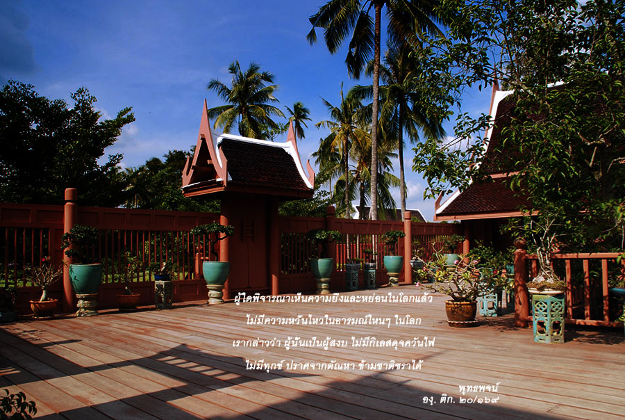 ADSC_0161.jpg