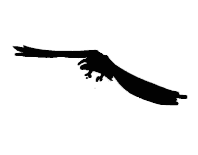 1074624210_518a51d551_o.gif