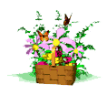 05.gif