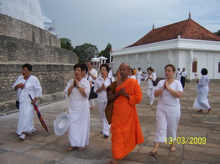 100_2655_resize.JPG