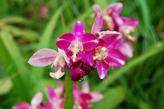 DSC_9911.jpg
