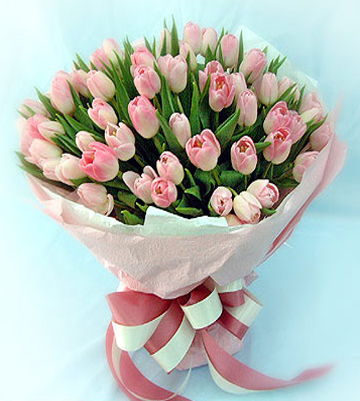 flower08[1].jpg