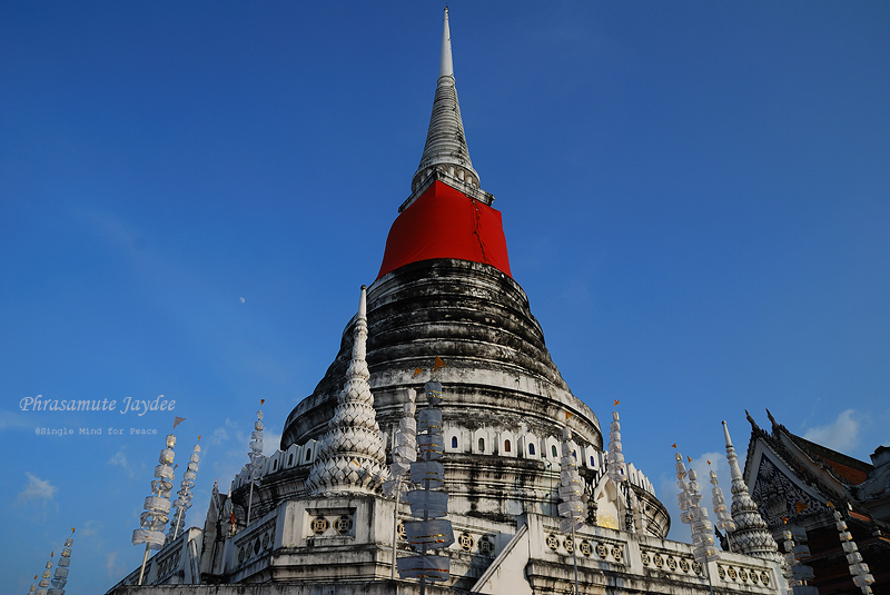 DSC_0264.jpg