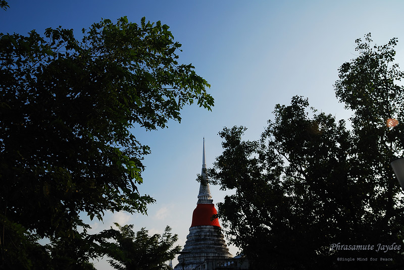 DSC_0269.jpg
