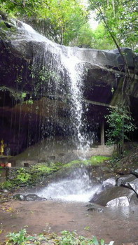 P5.jpg