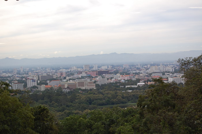 DSC_5344.jpg