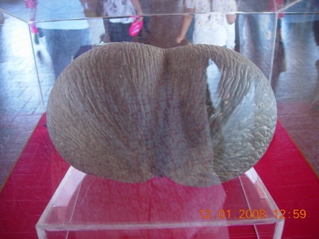 DSCN1243.JPG